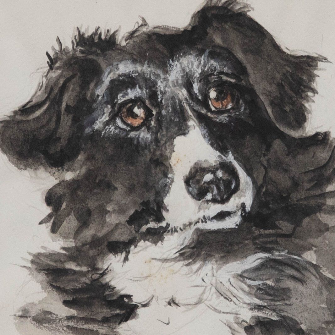 M.A.W Framed 20th Century Watercolour, Quiller The Border Collie photo Art