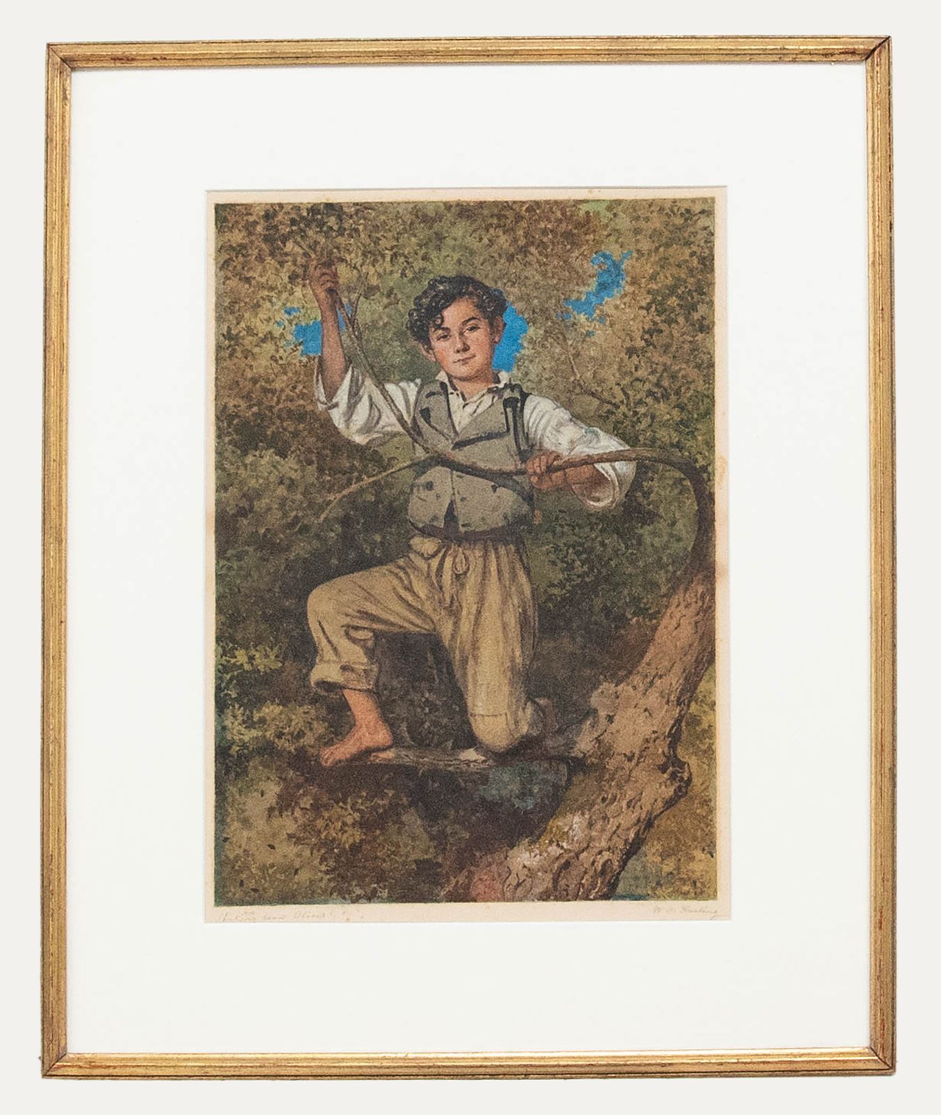 W. O. Harding  Early 20th Century Watercolour, Shaking Down Olives