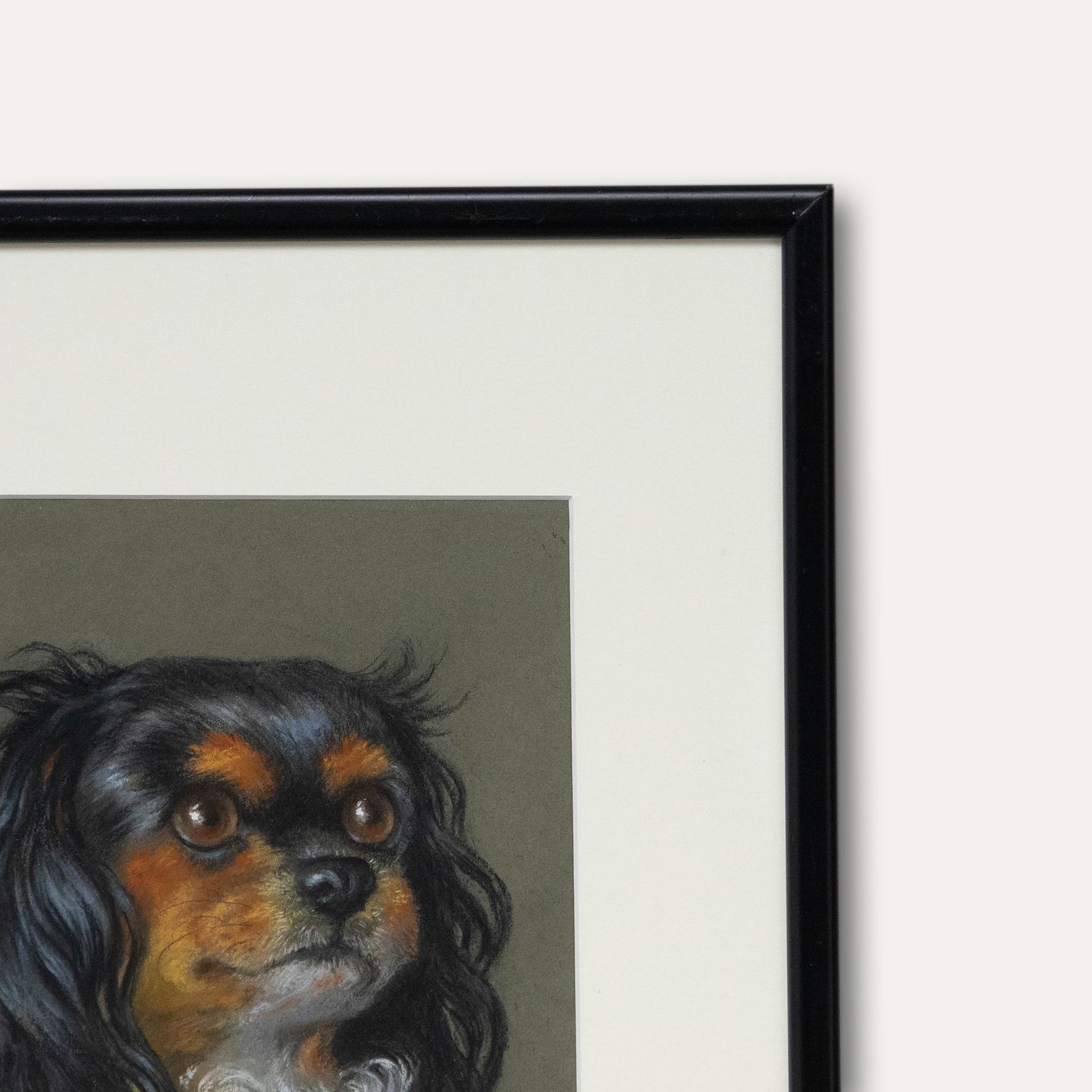M. Joyce Davies Mid 20th Century Pastel, Portrait Of A Cavalier King Charles photo 128.0