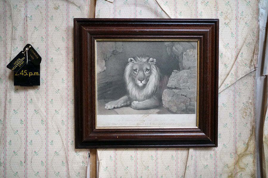 Bristol Zoological Gardens: After John West Giles (1830 1865)   'Jupiter’ By John Burbidge, June 24th, 1853