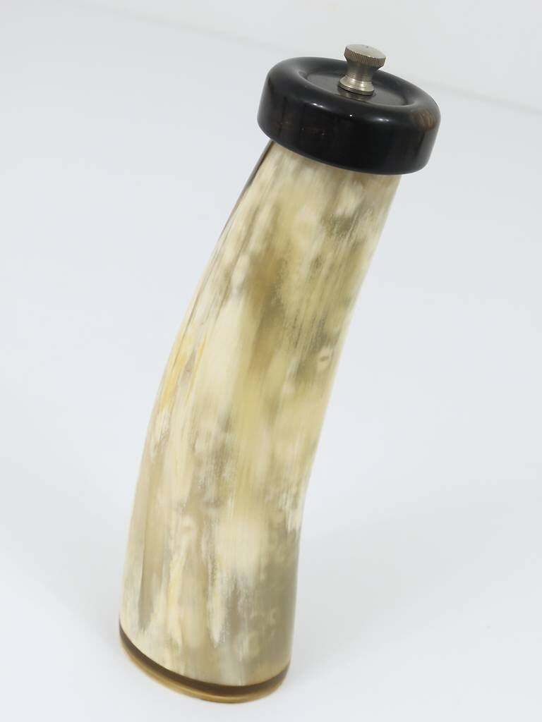 Beautiful Carl Aubock Mid Century Horn Pepper Or Salt Mill, Austria, 1950s photo vinterior