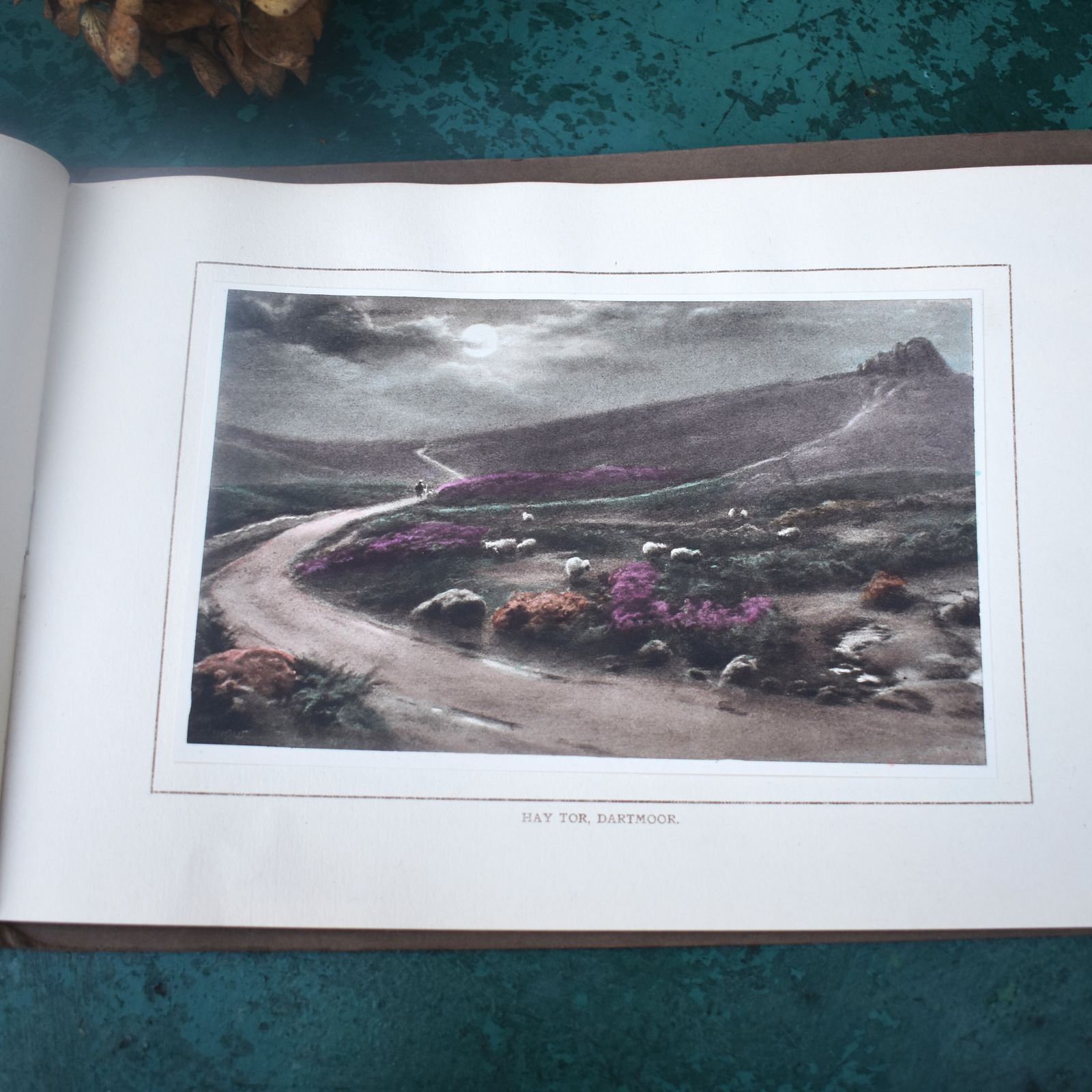 photo for sale Antique 1910 Glorious Devon Harvey Barton & Sons 18 Hand Coloured Fine Prints