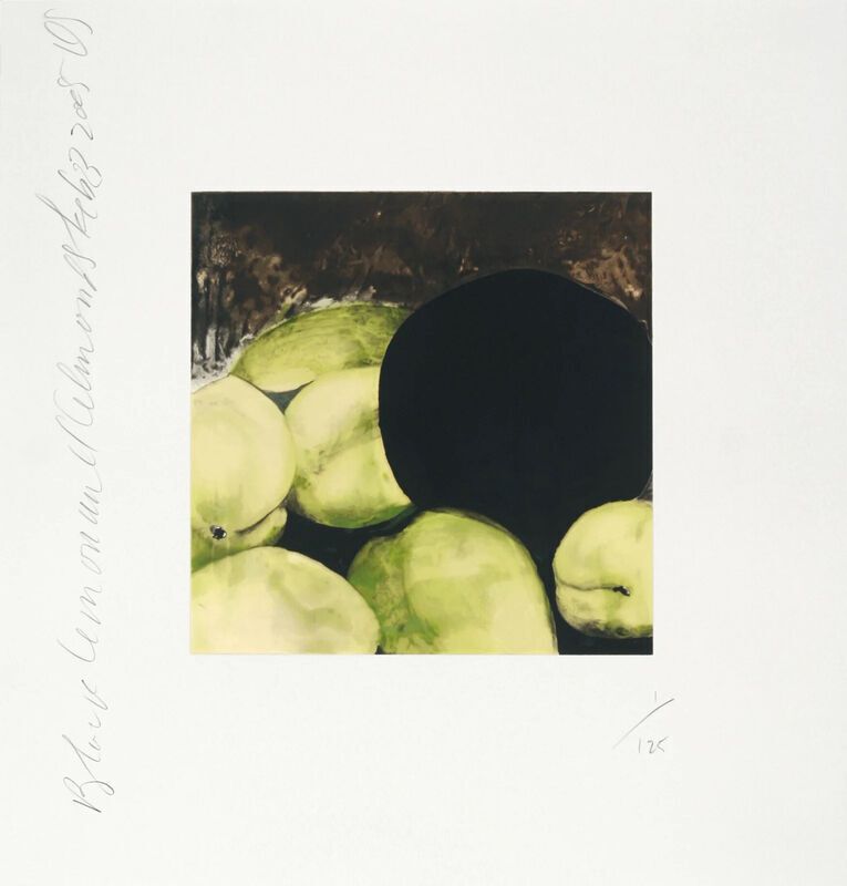 Black Lemons And Almonds, Feb. 23 2005, 2005 photo furniture