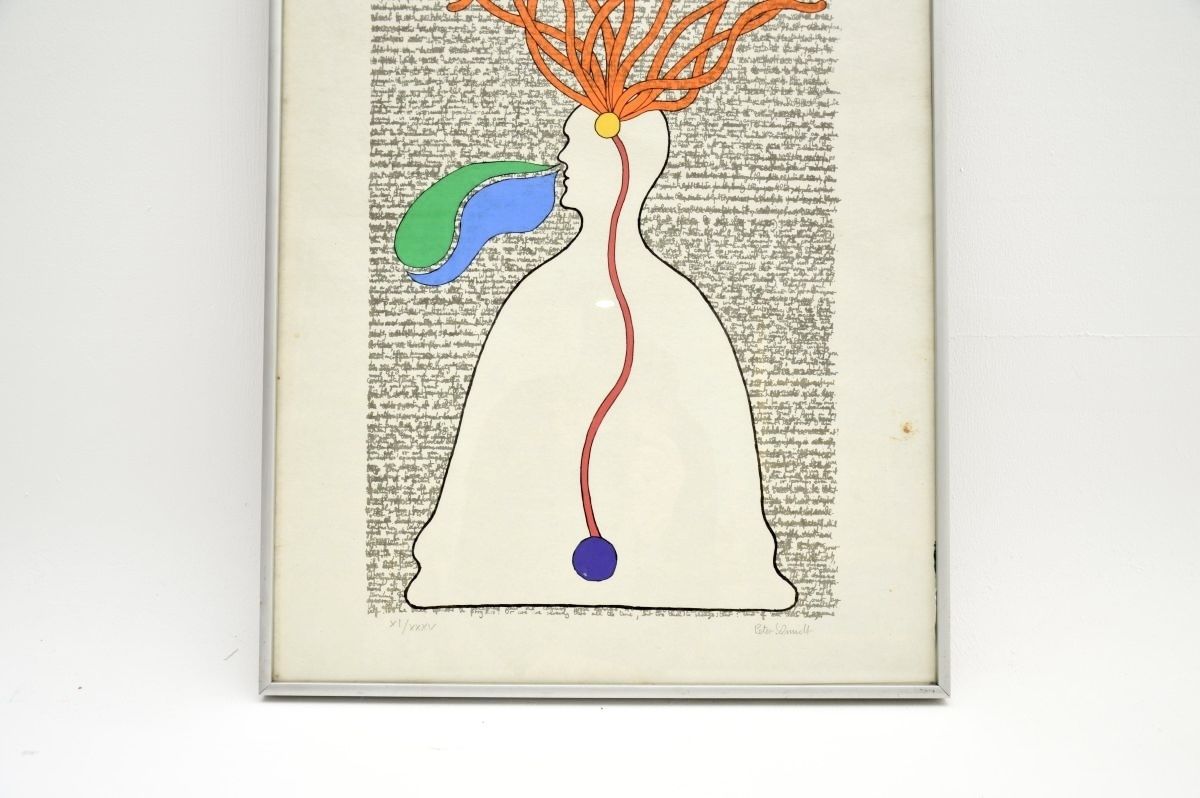 Vintage Framed And Signed Lithograph Print By Peter Schmidt – Flowing In The Right Direction photo 325.52
