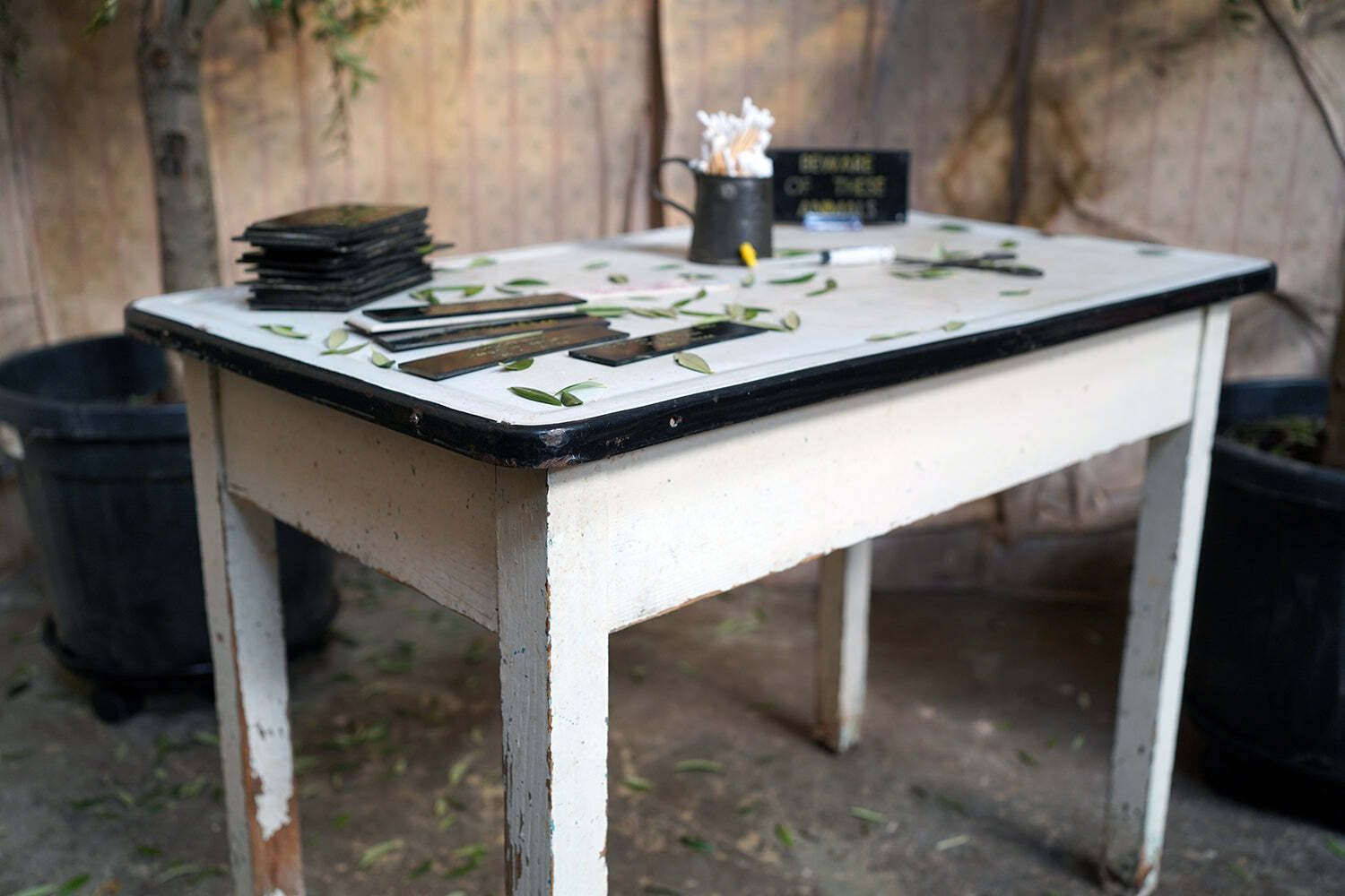Bristol Zoological Gardens: An Early/Mid 20thc Painted Pine & Enamel Topped Veterinarian Table C.1940