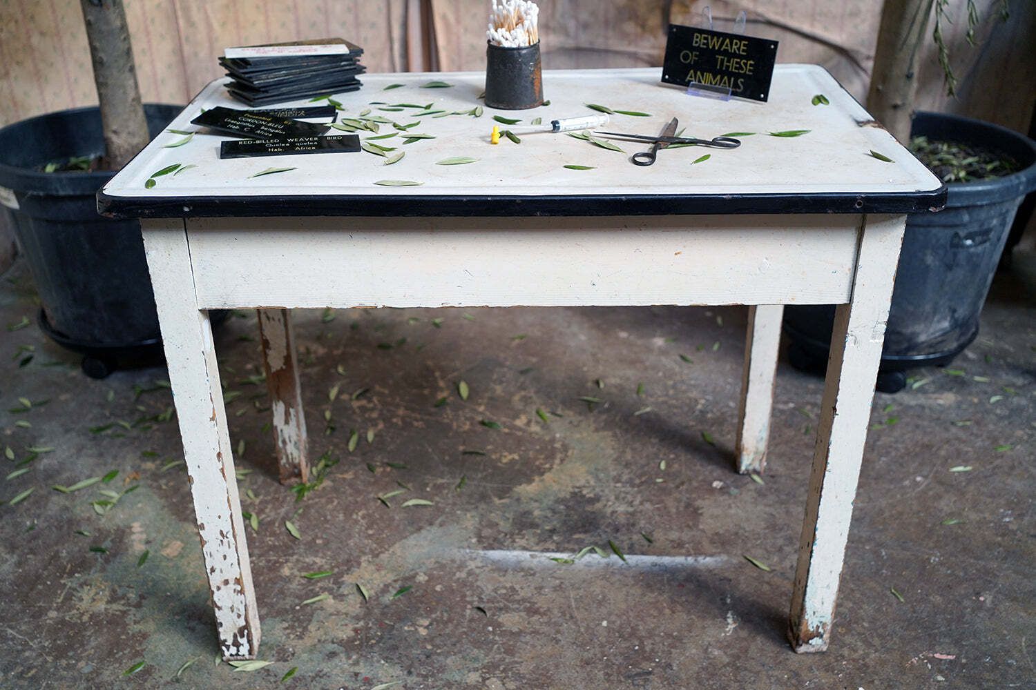 Bristol Zoological Gardens: An Early/Mid 20thc Painted Pine & Enamel Topped Veterinarian Table C.1940 photo for sale