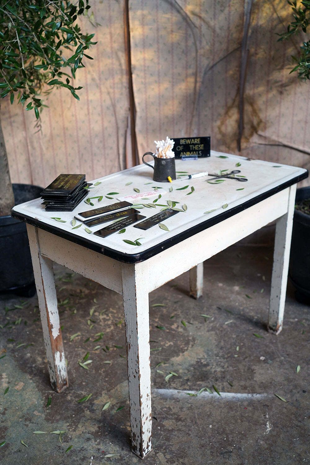 photo for sale Bristol Zoological Gardens: An Early/Mid 20thc Painted Pine & Enamel Topped Veterinarian Table C.1940