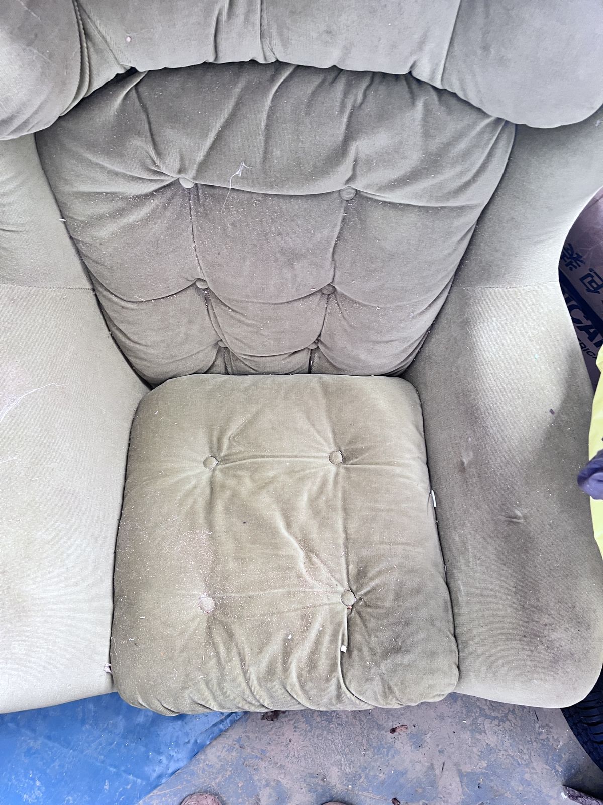 Green Velour Egg Chairc photo for sale