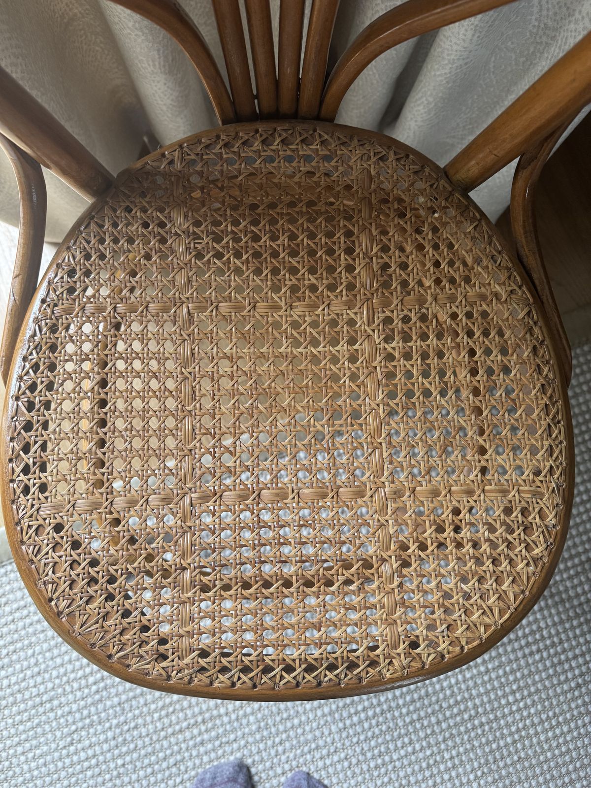 Lotus N25 Dining Chairs By Michael Thonet For Gebrüder Thonet Vienna Gmbh, 1894, Set Of 6 photo vinterior