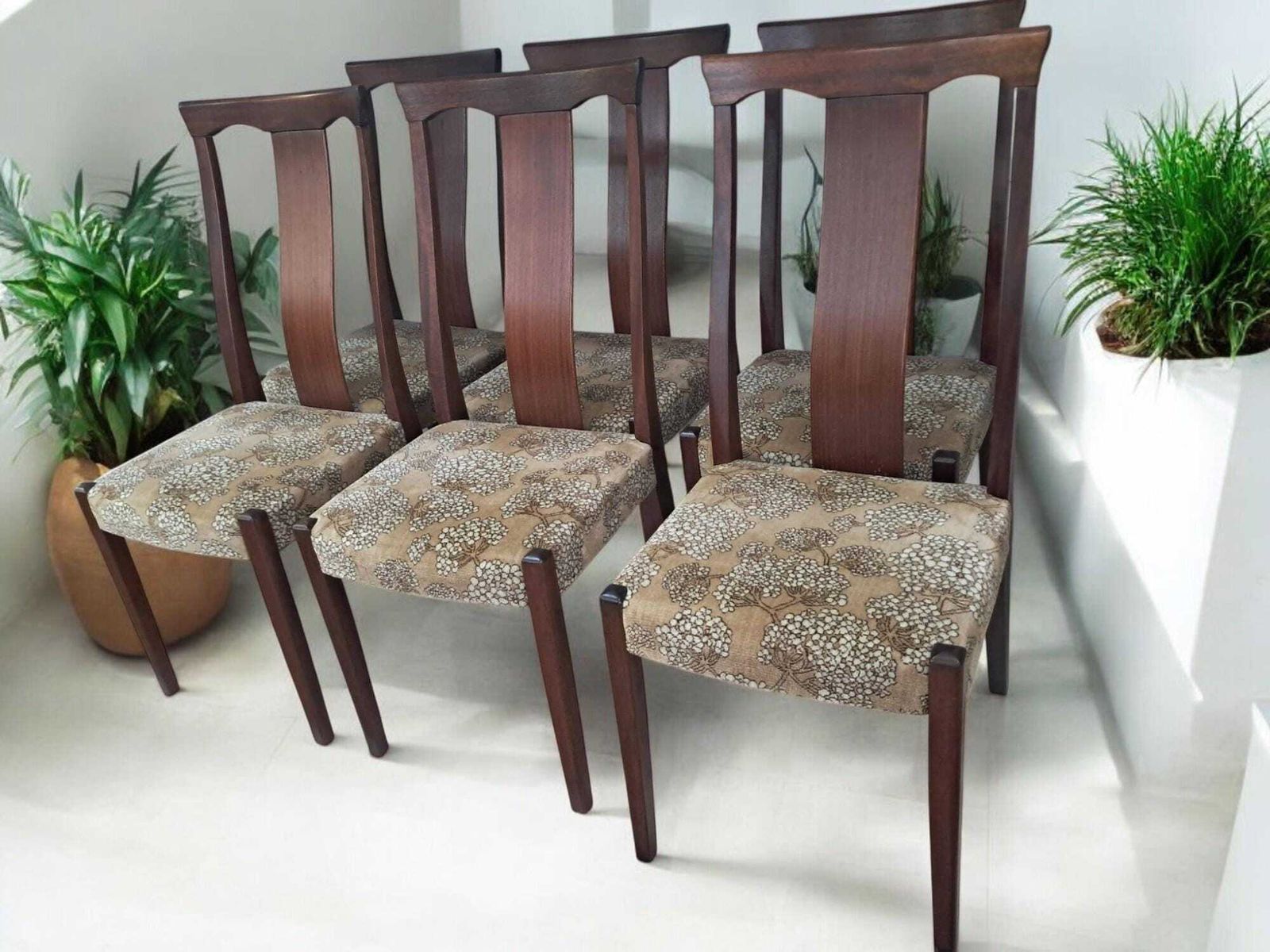 Vintage Mid Century Dining Chairs Danish Style Retro Skovby Style 1970 X 6 photo Furniture
