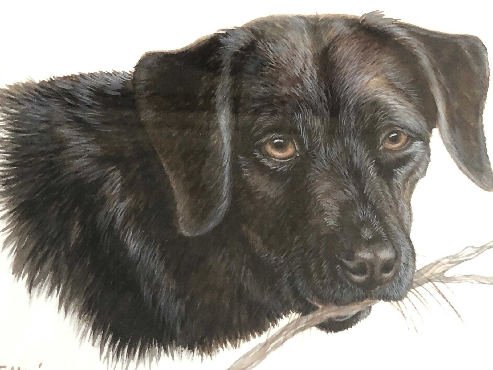 Young Tottie Original Water Colour Jane Hart Payne photo for sale