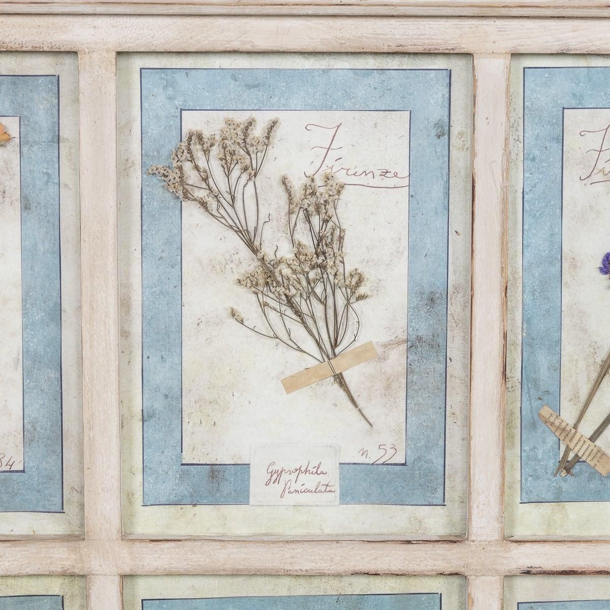 20th Century Italian Large Oak Frame Containing Pressed Flowers & Herbs photo 895.0