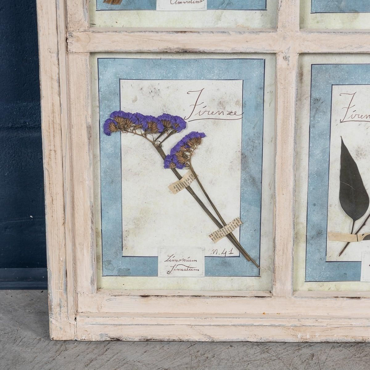 photo furniture 20th Century Italian Large Oak Frame Containing Pressed Flowers & Herbs