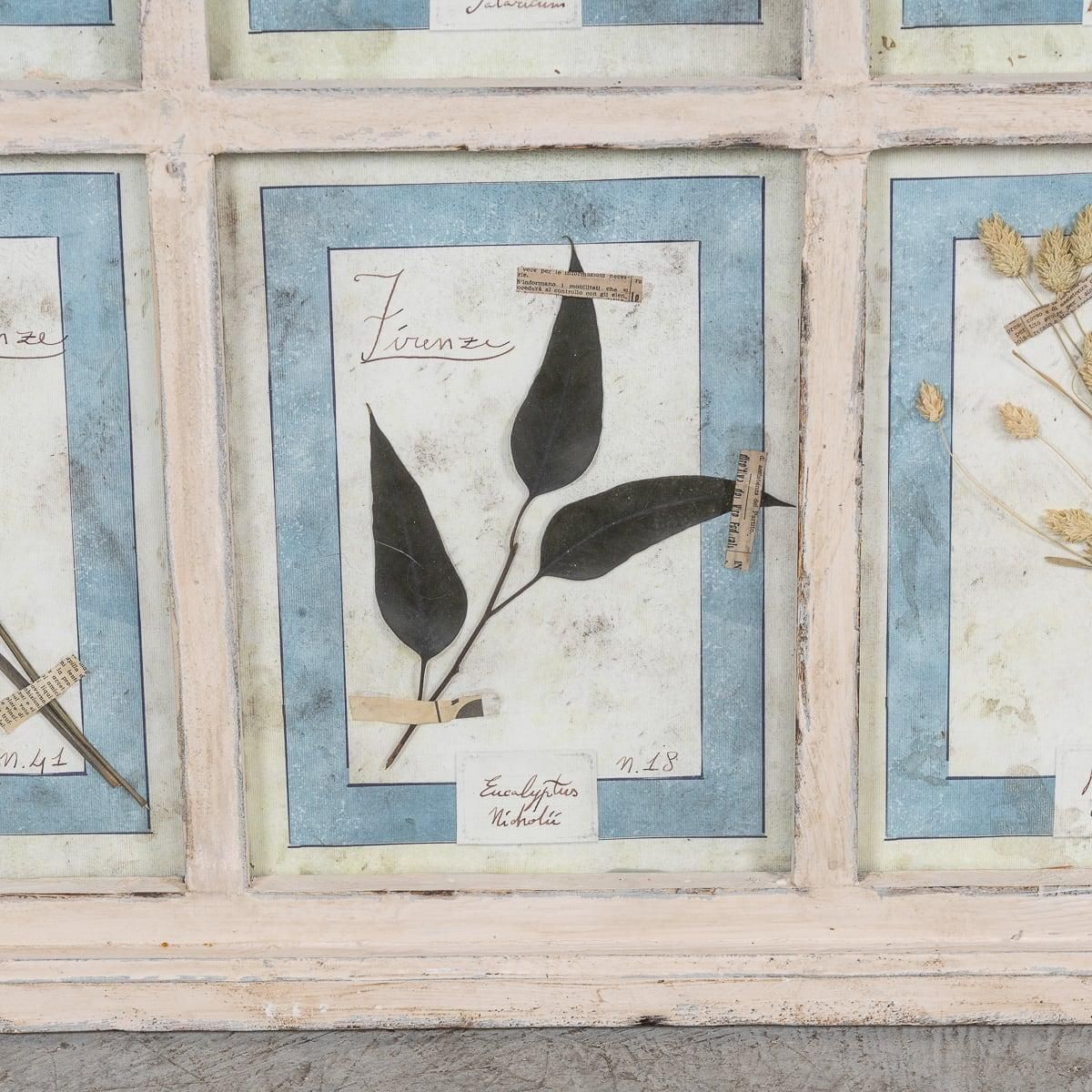 photo for sale 20th Century Italian Large Oak Frame Containing Pressed Flowers & Herbs