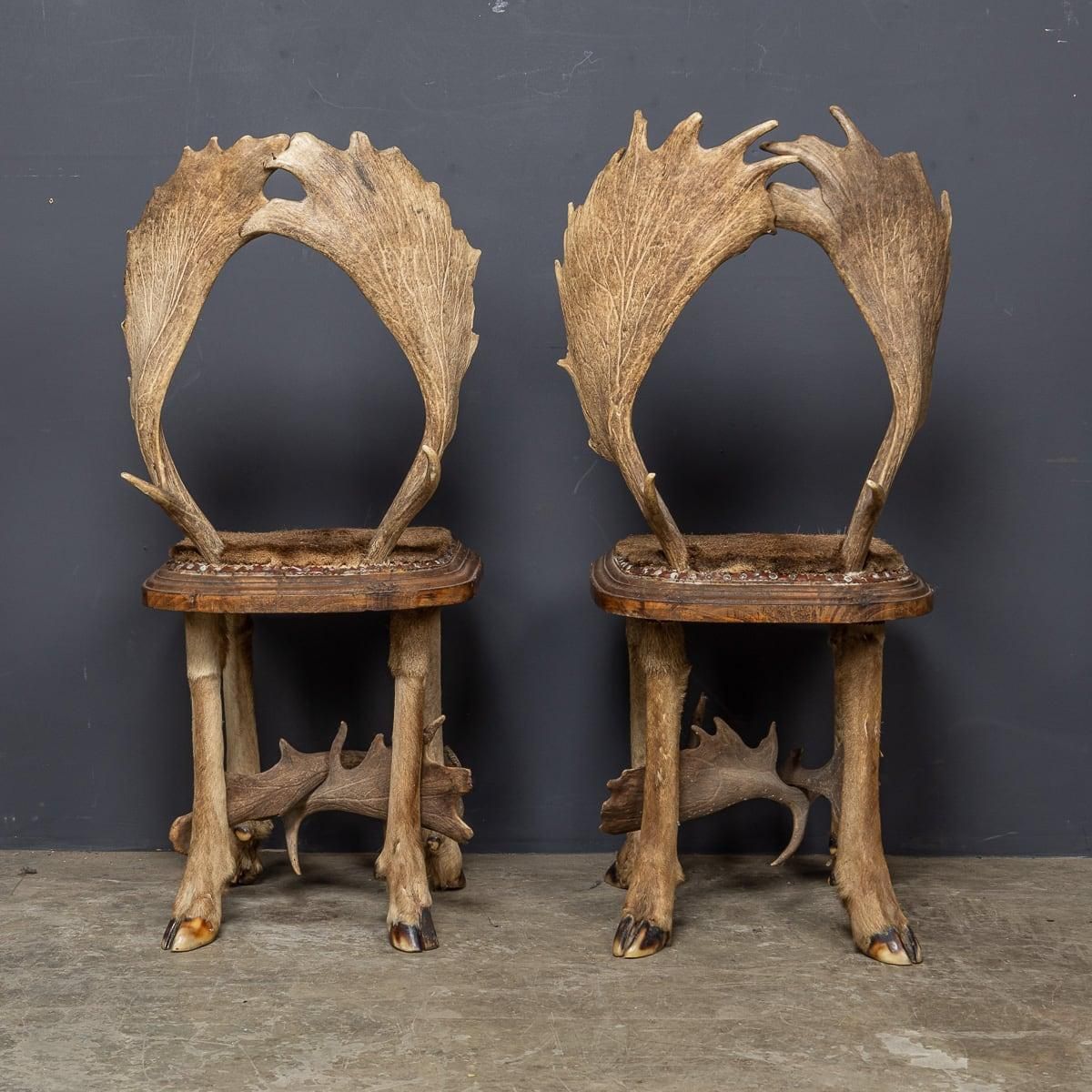 Antique 20th Century Austrian Pair Of Deer Antler Hall Chairs C.1900 photo 3272.0