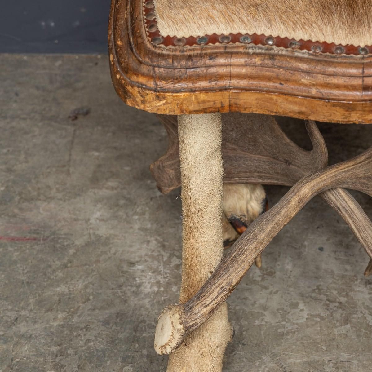 Furniture Antique 20th Century Austrian Pair Of Deer Antler Hall Chairs C.1900 photo