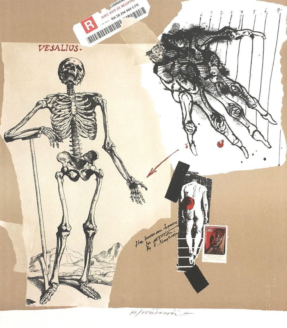 2007 Vladimir Velickovic Vesalius Lithograph photo furniture