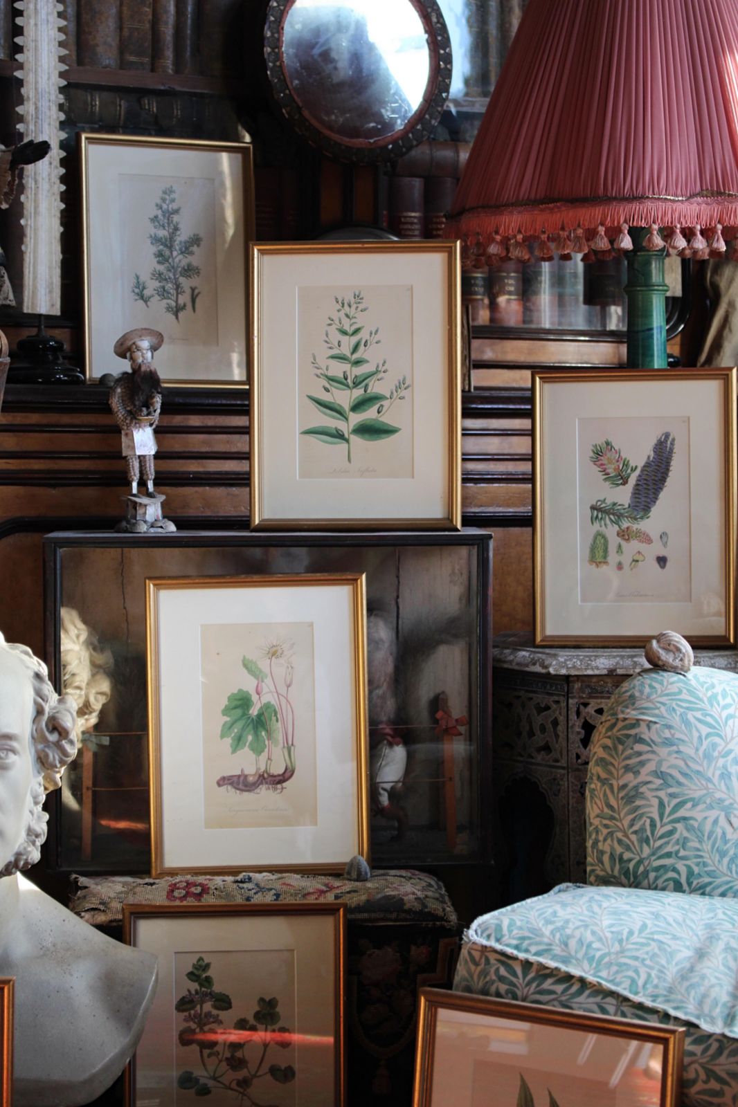 1850 12 Hand Coloured Botanical Plates From The American Practice Of Medicine photo furniture