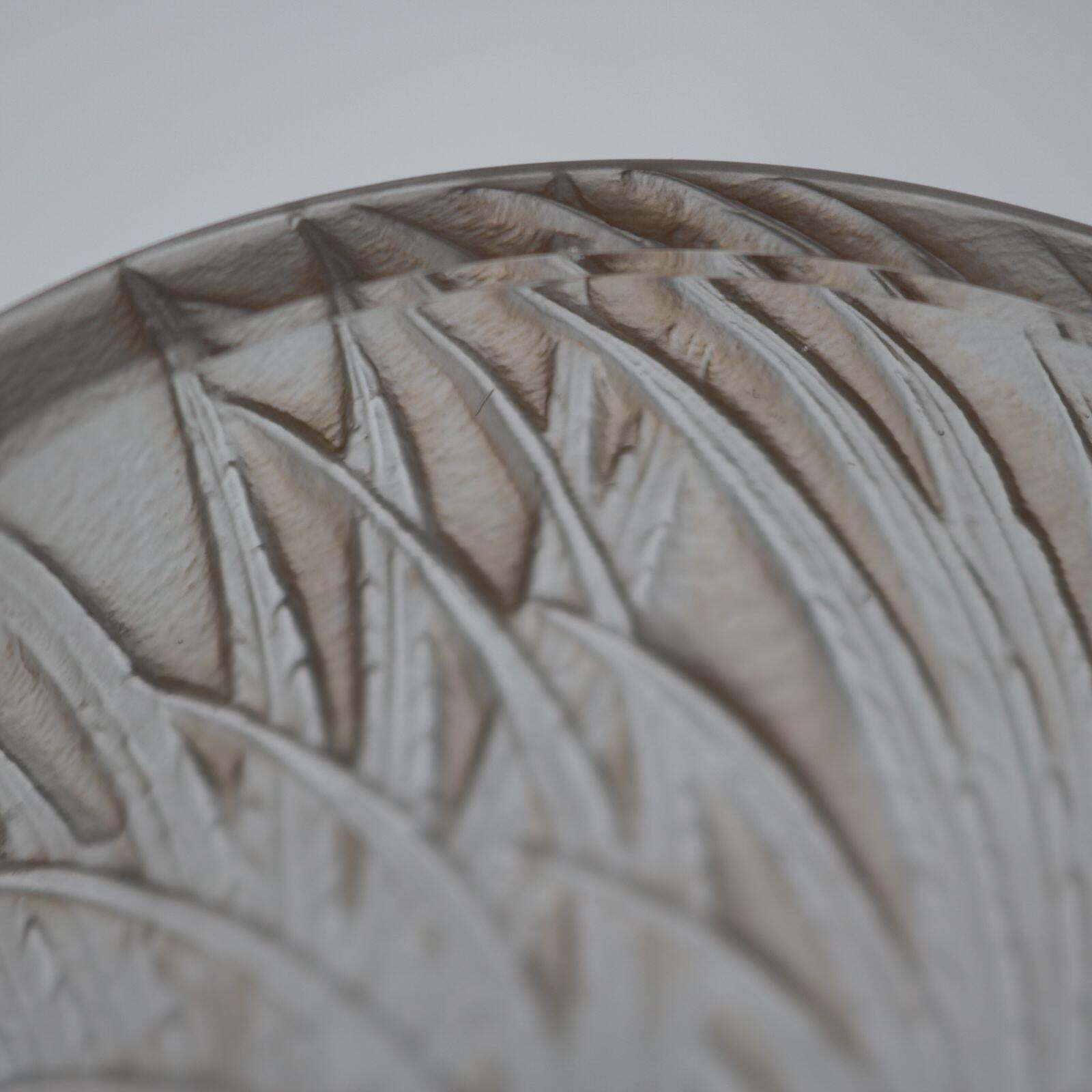 2774.0 Rene Lalique Glass 'Coqs Et Plumes' Vase photo