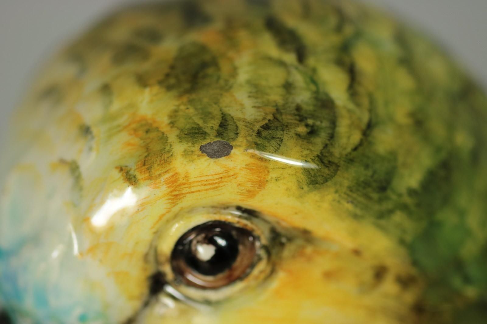 3176.0 Delphin Massier Majolica Parrot Figural Vase photo