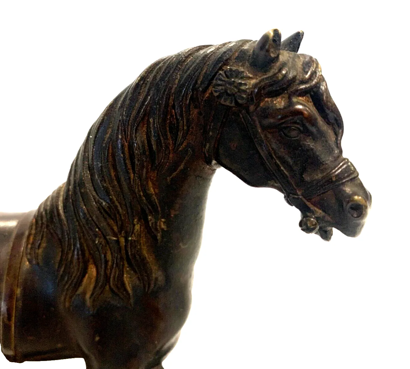 Bronze Group Horse On Base With Brown Patina 20th Century photo for sale