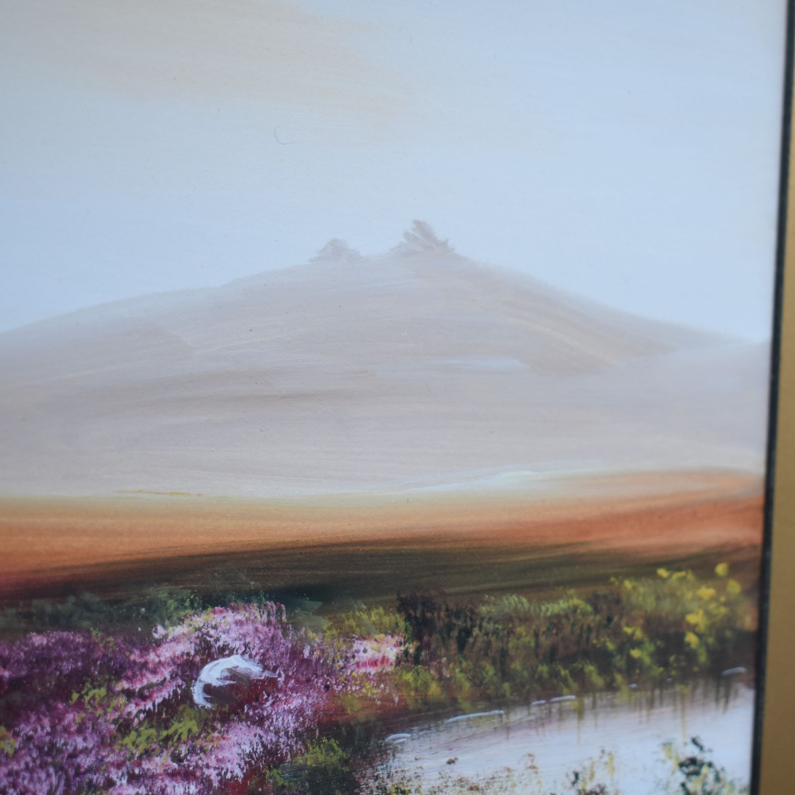 Antique 1900 Ae Dumble Haytor High Willbays Dartmoor Watercolour Gilt Frame Pair photo Art