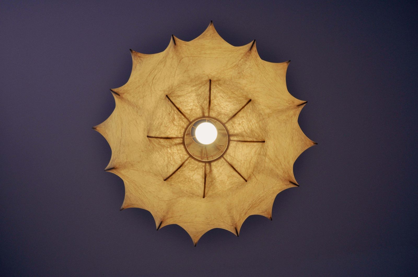 photo furniture Taraxacum Hanging Lamp By Achille & Pier Giacomo Castiglioni For Flos, 1960s
