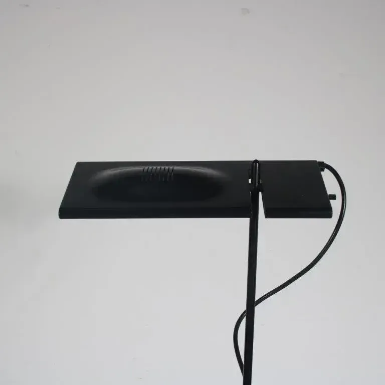 1970s “Duna” Floor Lamp By Marco Colombo & Mario Barbaglia For Paf Studio, Italy photo vinterior