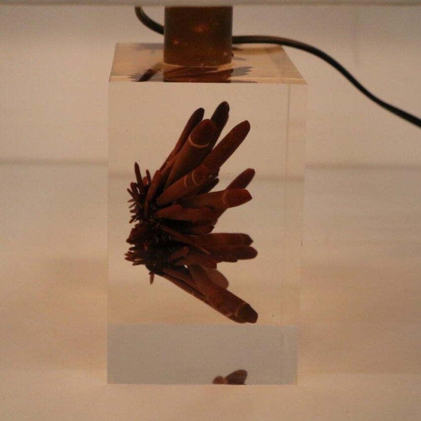 Pierre Giraudon Resin With Coral Table Lamp, France 1970 photo vinterior