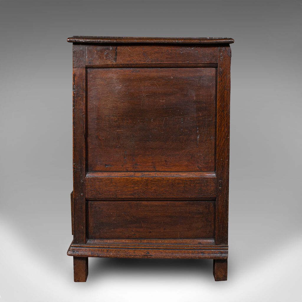 Antique 4 Panel Coffer, English, Oak, Linen, Mule Chest, Country House, Georgian photo vinterior