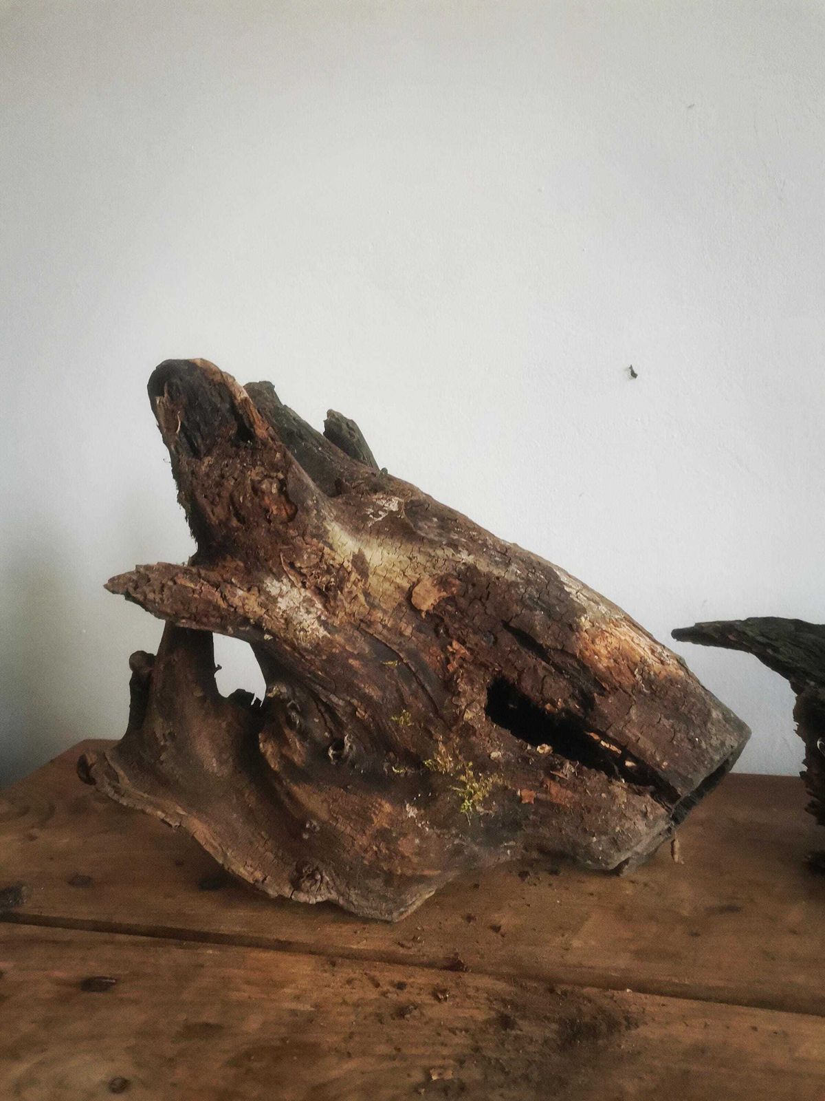 Wildcrafted Oak Driftwood Sculpture Naturally Formed Art From Zselic Starry Skies Forest, Hungary. Aged Wood, Stunning, Cow, Donkey photo 68.0