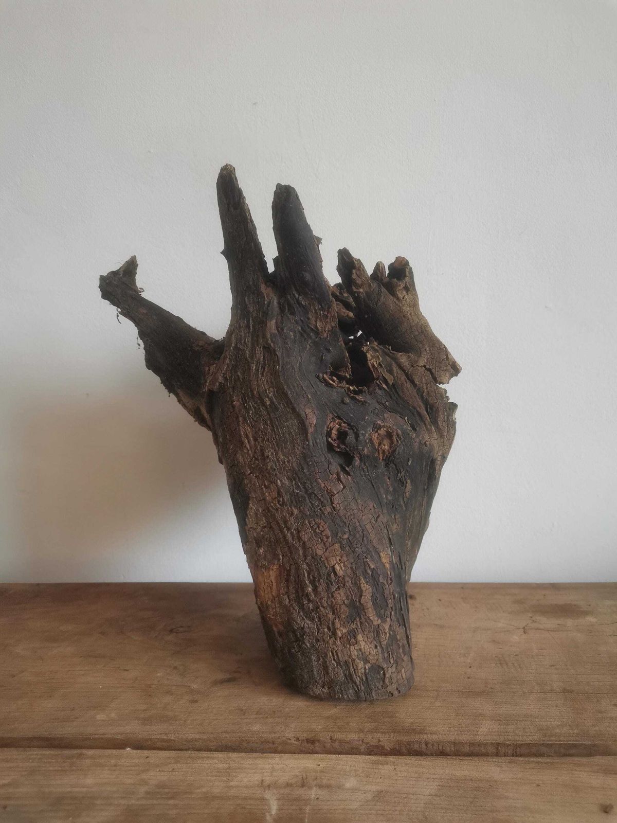 Wildcrafted Oak Driftwood Sculpture Naturally Formed Art From Zselic Starry Skies Forest, Hungary. Aged Wood, Stunning, Cow, Donkey photo vintage