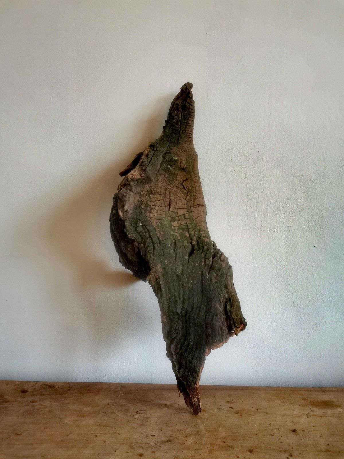 photo furniture Wildcrafted Oak Driftwood Sculpture Naturally Formed Art From Zselic Starry Skies Forest, Hungary. Aged Wood, Stunning, Wild Boar & Reptile