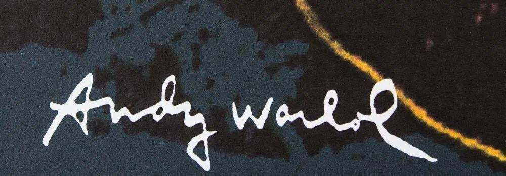 1986 Carnegie Museum Of Art Naar Andy Warhol "Black Rhinoceros" Lithografie photo for sale