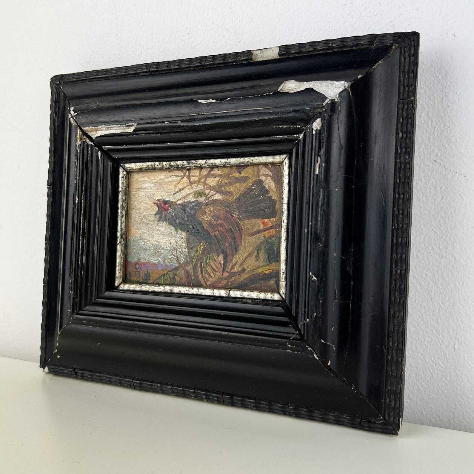 Original Miniature Framed Oil Painting Of Western Capercaillie photo vintage