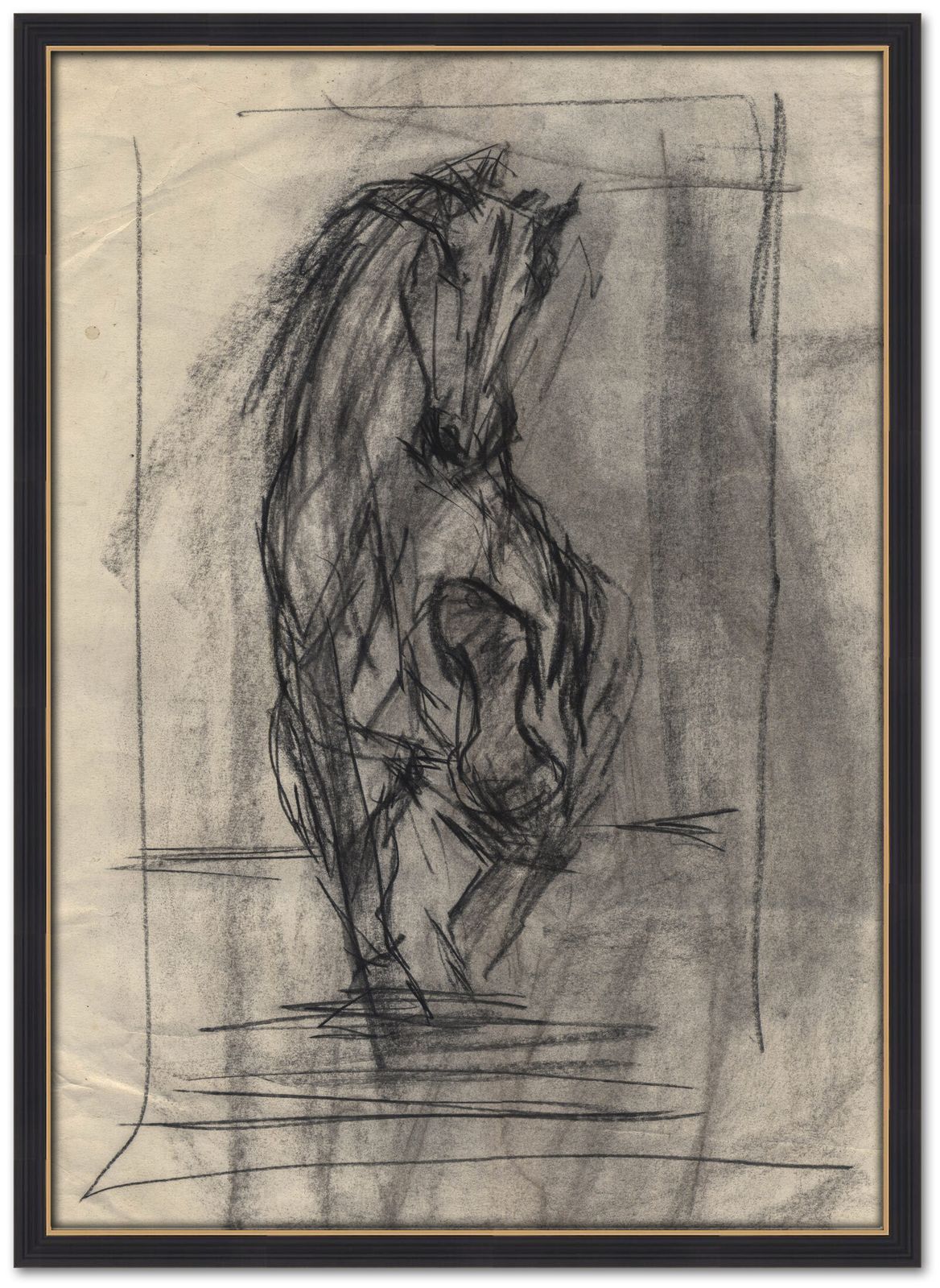 Dynamic Charcoal Horse Portrait By Nan Frankel