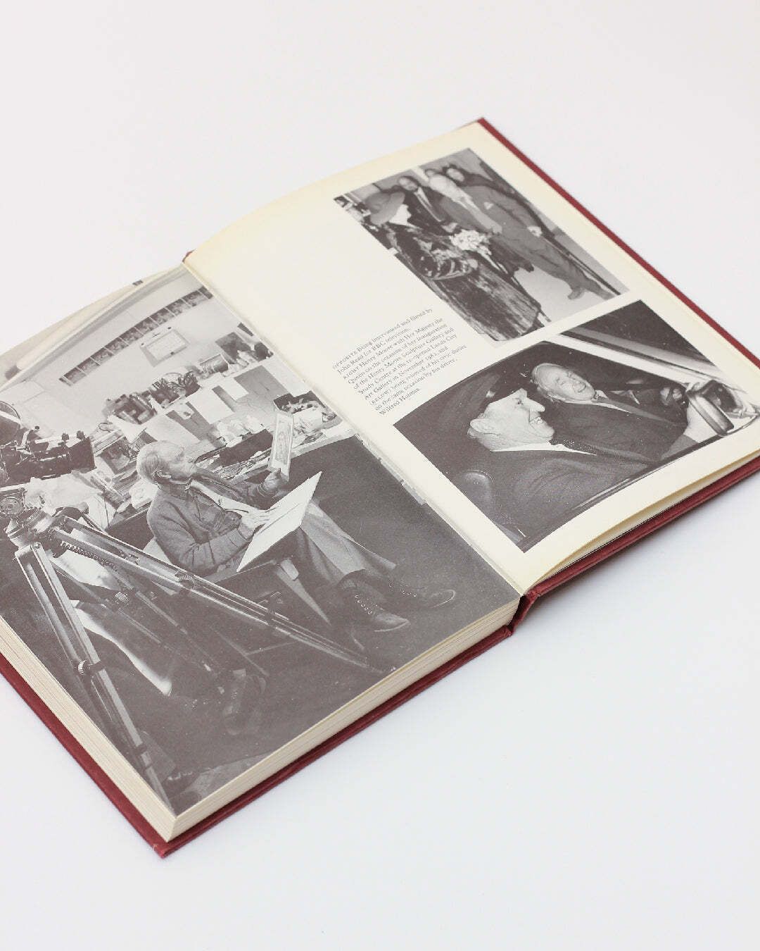 Henry Moore, An Illustrated Biography photo for sale