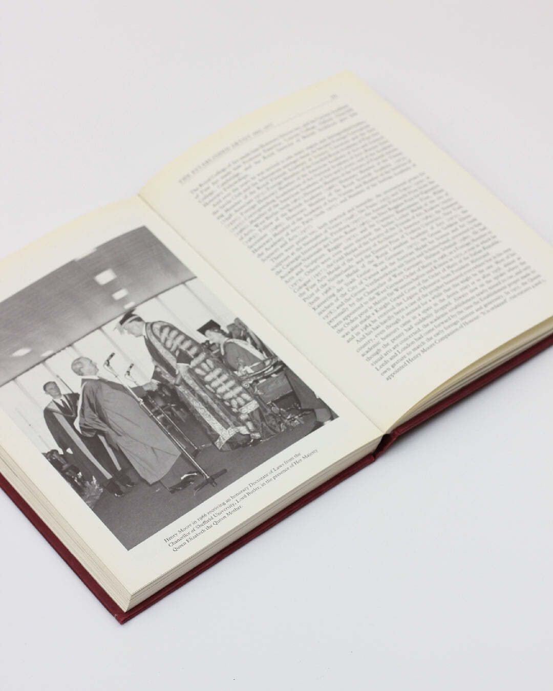 Henry Moore, An Illustrated Biography photo Home Decor