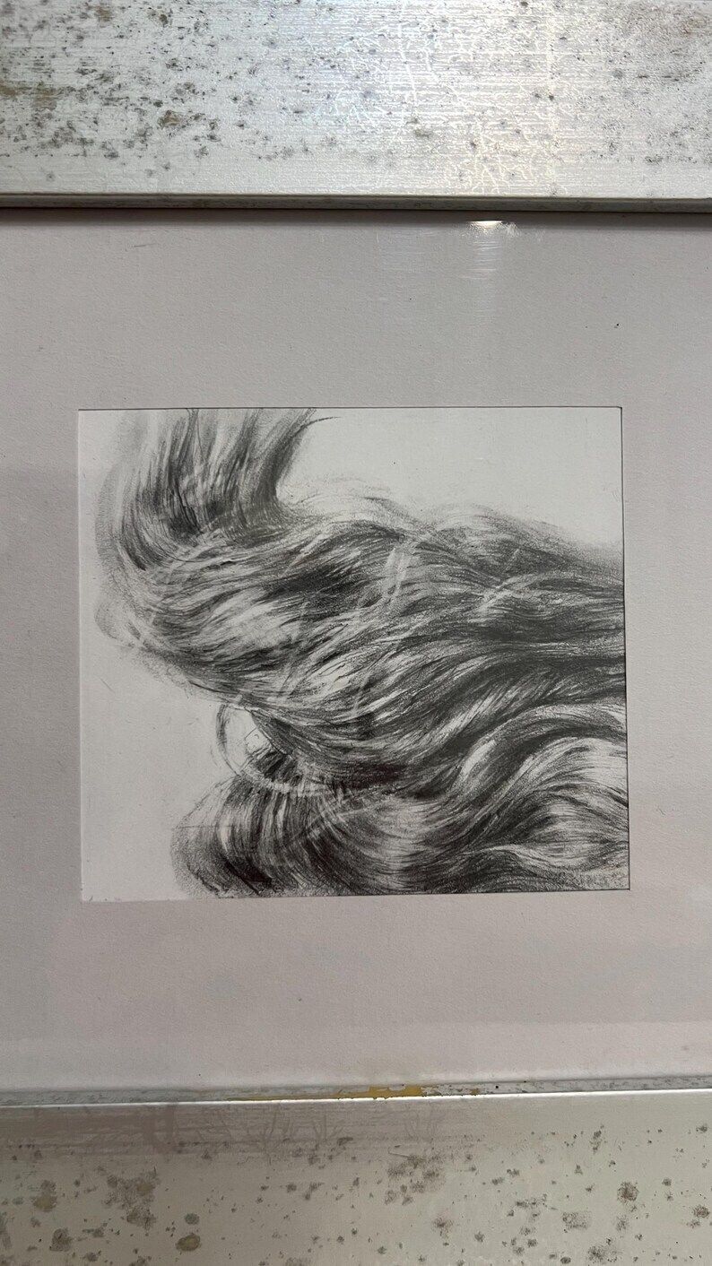 Contemporary Pencil Drawing Of Flowing Hair, Framed And Glazed photo furniture
