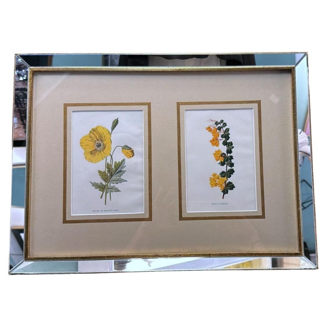 Italian Frame With Mirrors And English Chromolithographic Prints Of Flowers   05