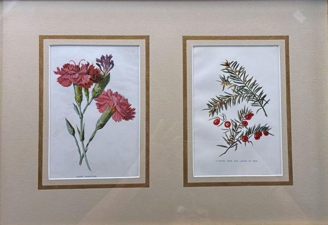 Italian Mirror Frame With English Chromolithographic Floral Prints   04 photo for sale