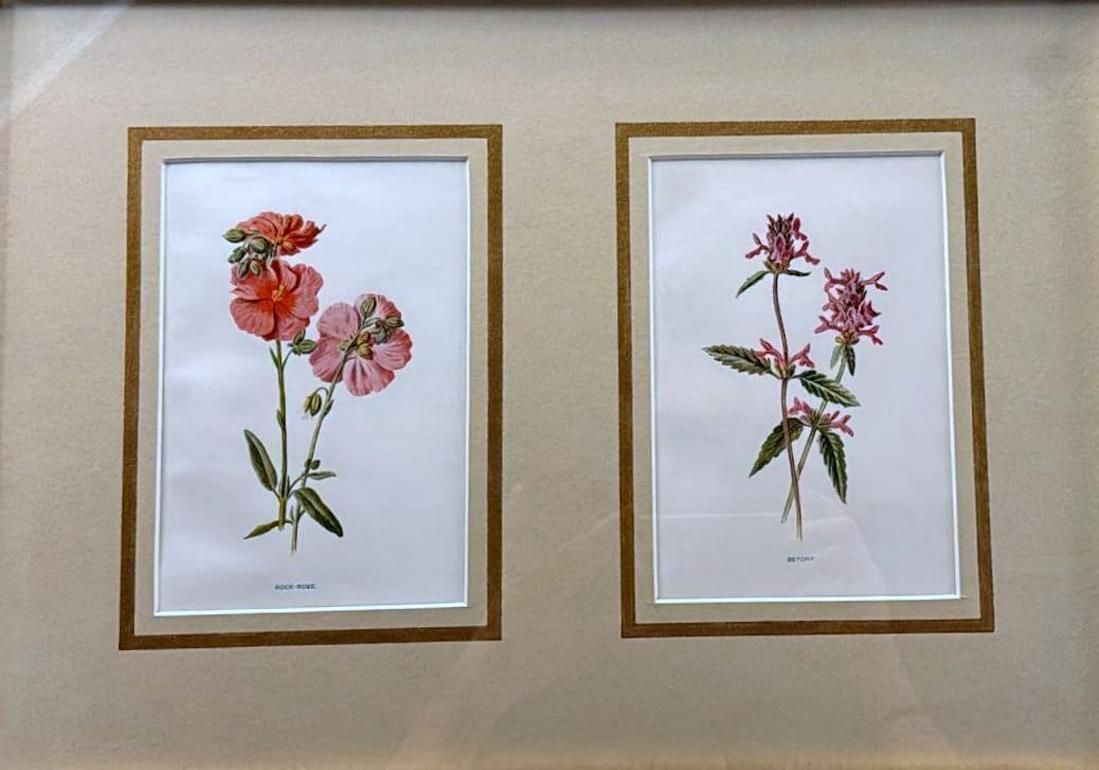 Italian Mirror Frame With English Chromolithographic Floral Prints   03 photo for sale