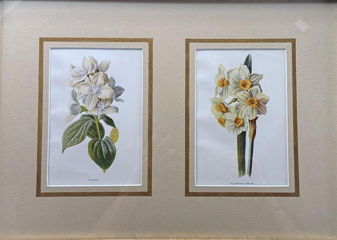Italian Mirror Frame With English Chromolithographic Floral Prints   01 photo for sale