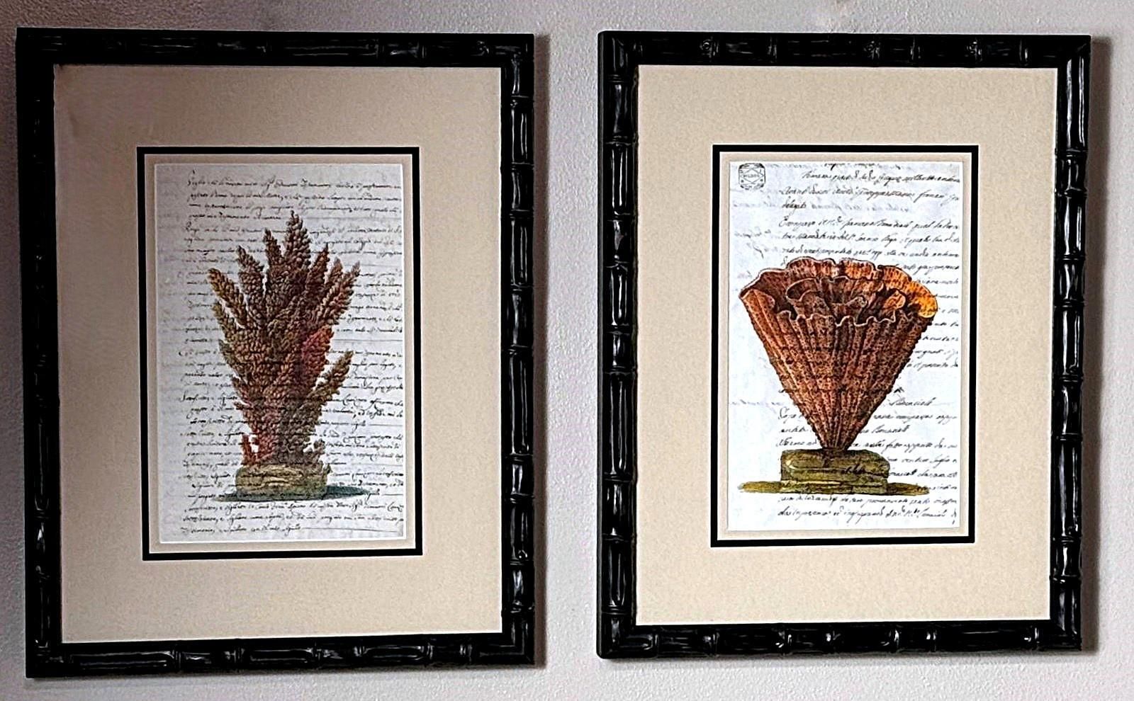 Pair “Faux Bamboo” Frames With Old Italian Shell Prints With Overwritten Text. photo furniture