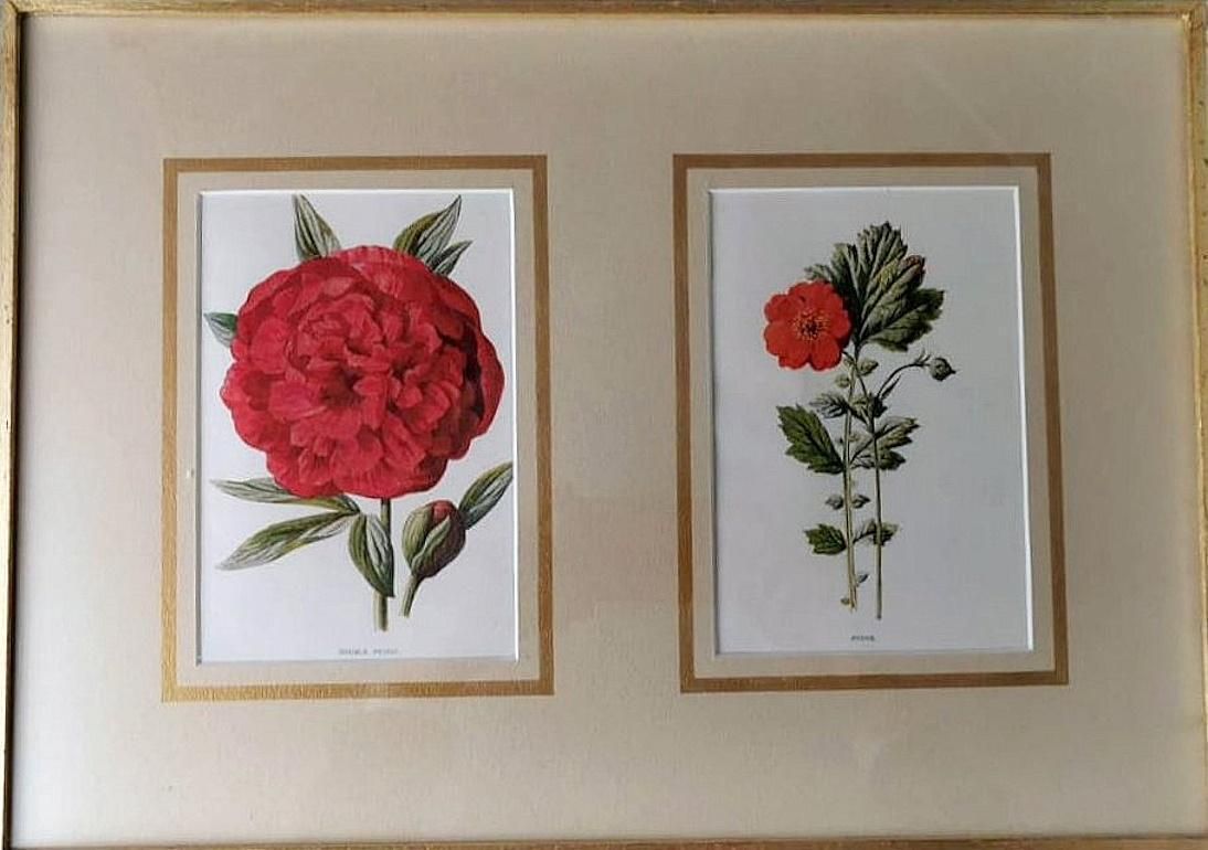 Italian Mirror Frame With English Chromolithographic Floral Prints  06 photo vinterior