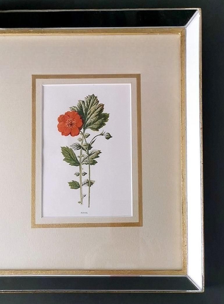 photo vinterior Italian Mirror Frame With English Chromolithographic Floral Prints  06