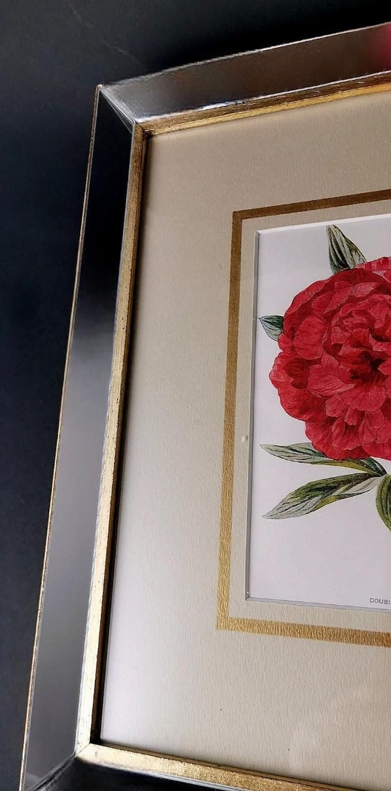 photo buy Italian Mirror Frame With English Chromolithographic Floral Prints  06