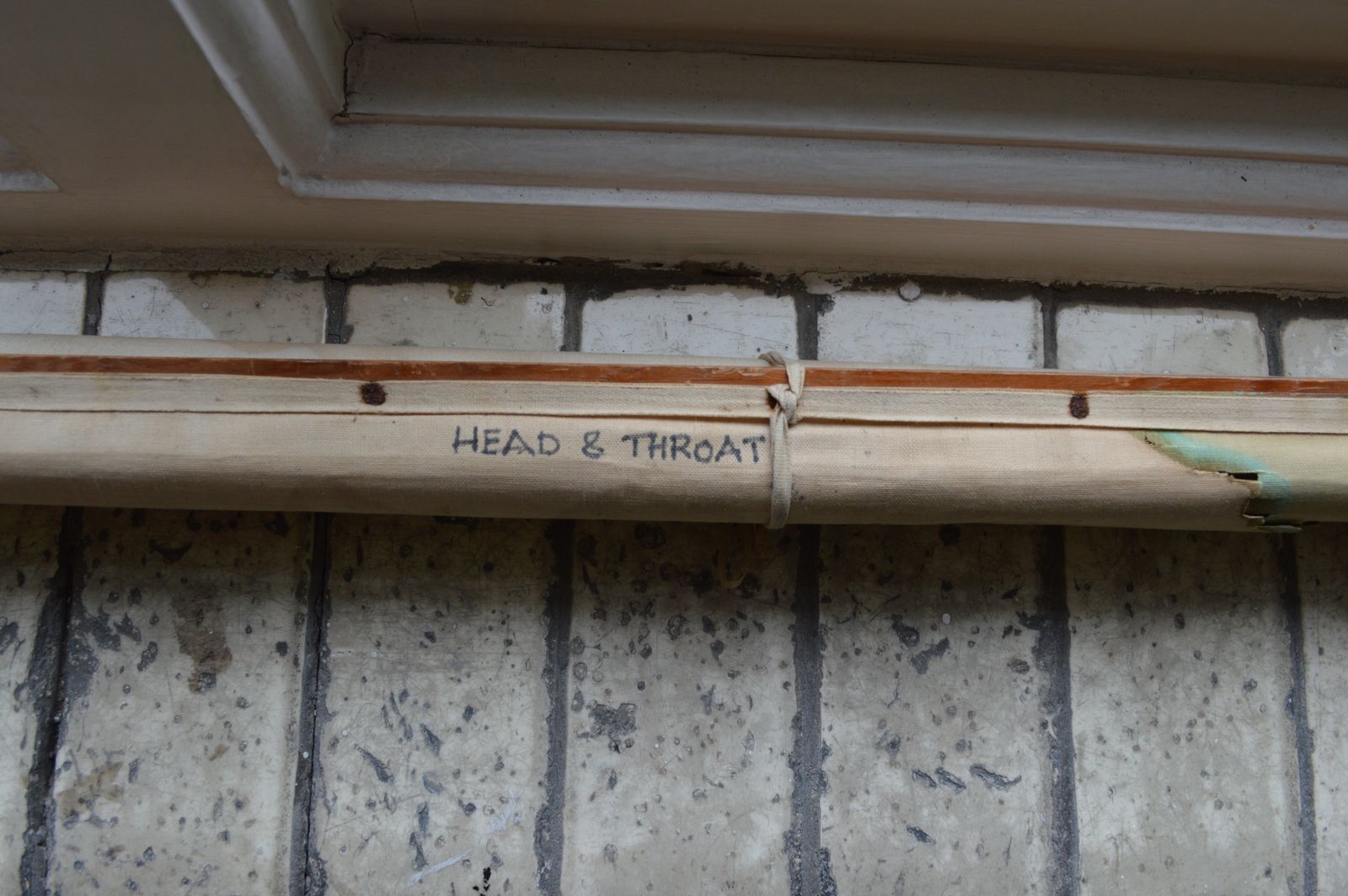 Early To Mid 20th Century Medical Anatomical Chart Showing Head And Throat photo 650.0