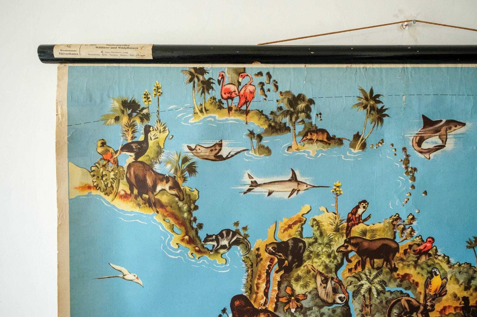 Original Vintage Mid Century German Educational School Wall Chart South America Map Wildlife Quirky Geography Beautiful Rare Westermann photo buy