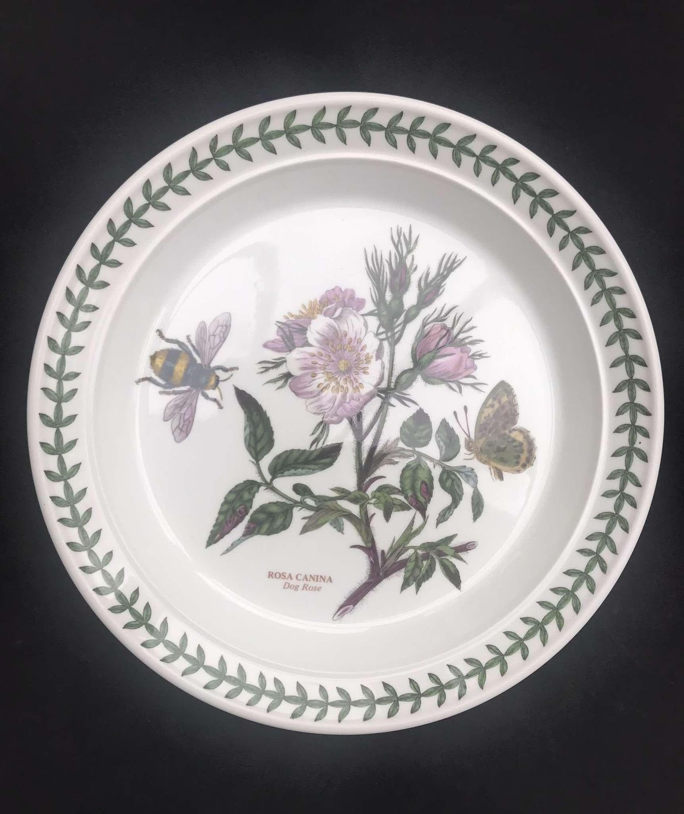 Portmeirion Botanica Salad Plate 70s Botanic Garden Entremets Dessert Plate Rosa Canina Dog Rose Made In England China Replacement Spare